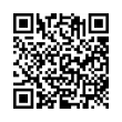 QR Code (код быстрого отклика)