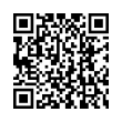 QR Code (код быстрого отклика)