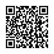 QR Code (код быстрого отклика)