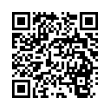QR Code (код быстрого отклика)
