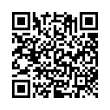 QR Code (код быстрого отклика)