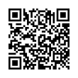 QR Code (код быстрого отклика)