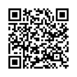 QR Code (код быстрого отклика)