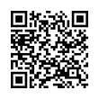 QR Code (код быстрого отклика)