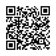 QR Code (код быстрого отклика)
